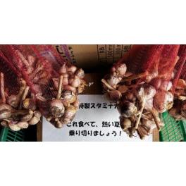 お届けもの